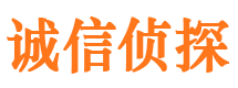 孝昌市调查公司